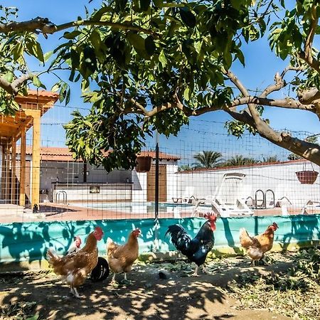 Reel Paradise Villa, Cyprus Larnaca Exterior photo