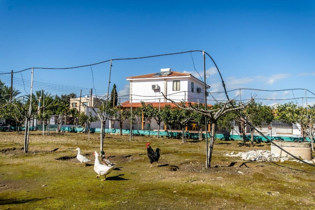 Reel Paradise Villa, Cyprus Larnaca Exterior photo